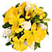Bright Neutral Coloured Flower Box