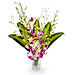 Orchids & Cordyline Flower Arrangement