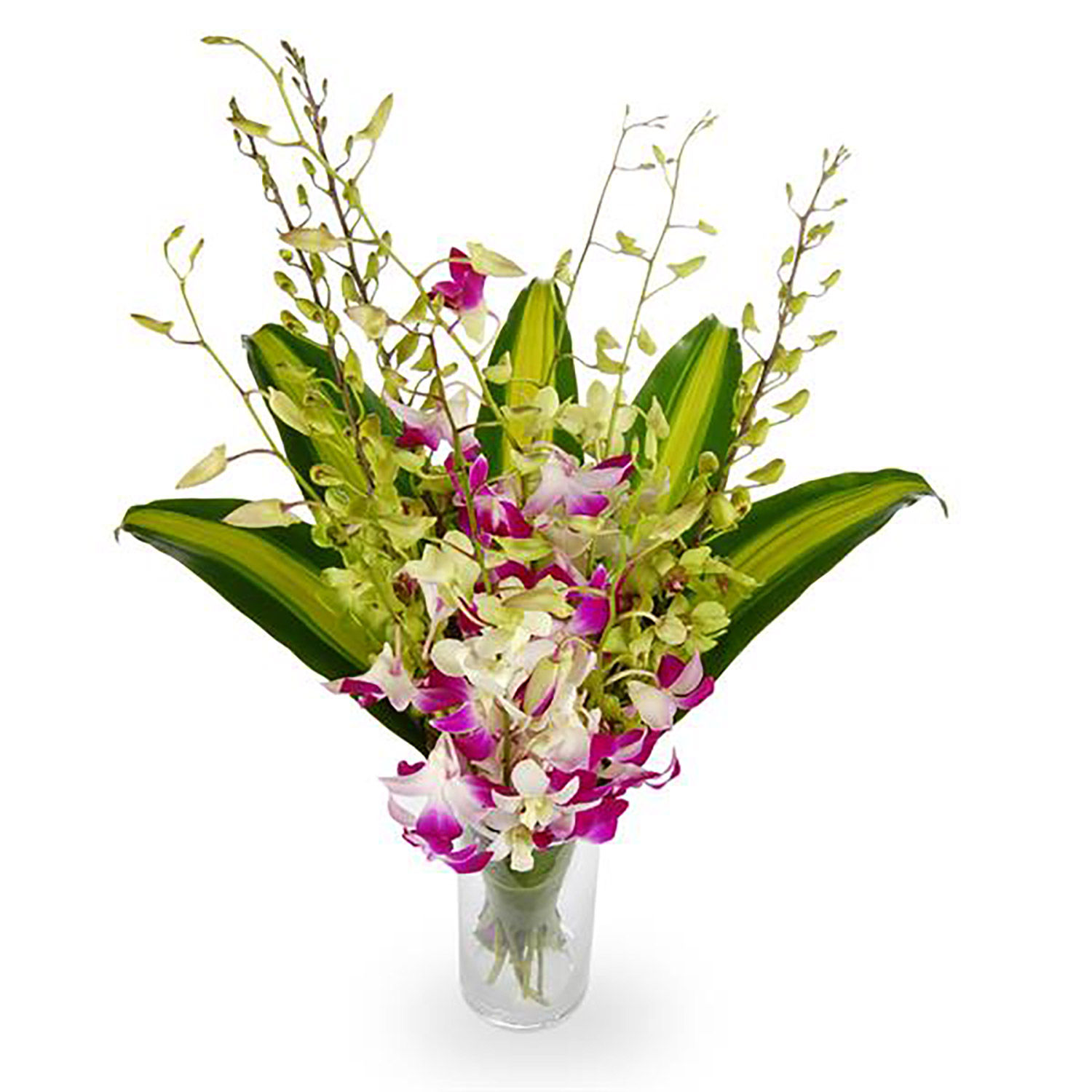 Online Orchids & Cordyline Flower Arrangement Gift Delivery in ...