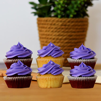Mouth Watering Chocolate Cupcakes 12 Pcs