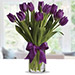 Purple Tulip Arrangement BH