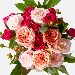 Appealing Assorted Rose & Spray Rose Arrangement