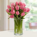 Pink Tulips Arrangement EG