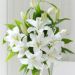 Serene White Lilies In Vase