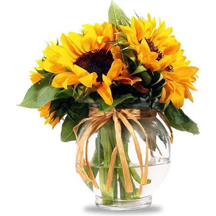 Sunshine Bunch of Sunflowers In Glass Vase