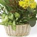 Basket Arrangement of Flowering Plants