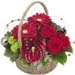 Basket Arrangement of Roses & Anthuriums