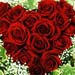 Heart Shaped Arrangement of Red Roses