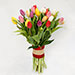 25 Mixed Tulip Bunch