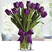 Purple Tulip Arrangement KT