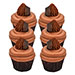 Ravishing Chocolate Cupcakes