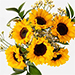 Blooming Sunflowers Vase Arrangement