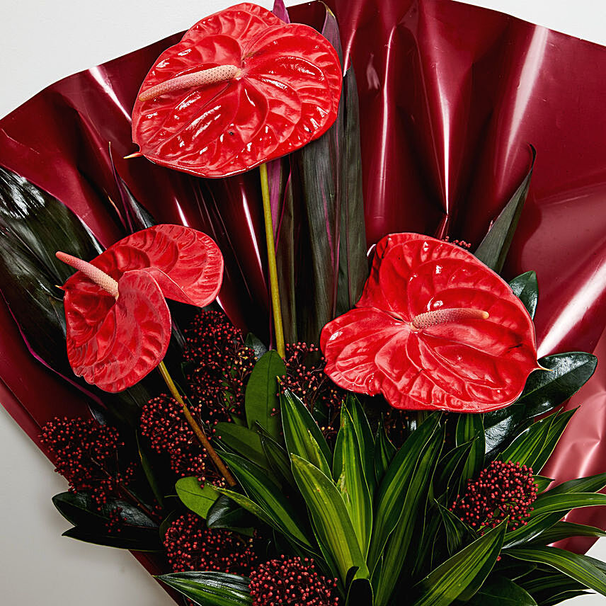 Online Beautiful Anthurium Bouquet Gift Delivery in Singapore - FNP