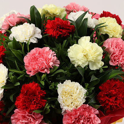 Online 25 Mixed Carnations Bouquet Large Gift Delivery in Singapore - FNP