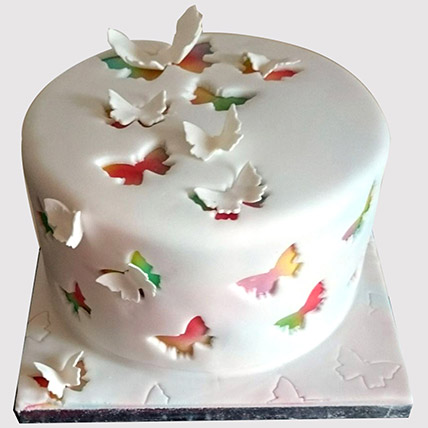 Rainbow Butterfly Truffle Cake