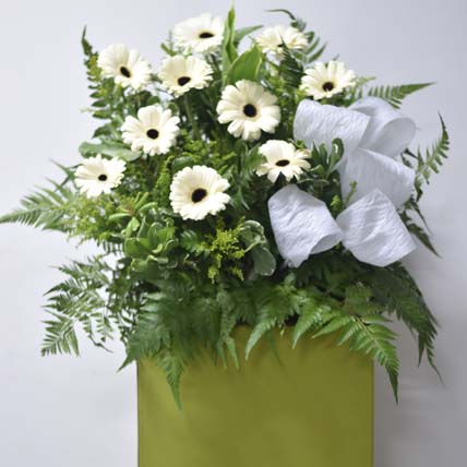 White Gerberas Flower Stand