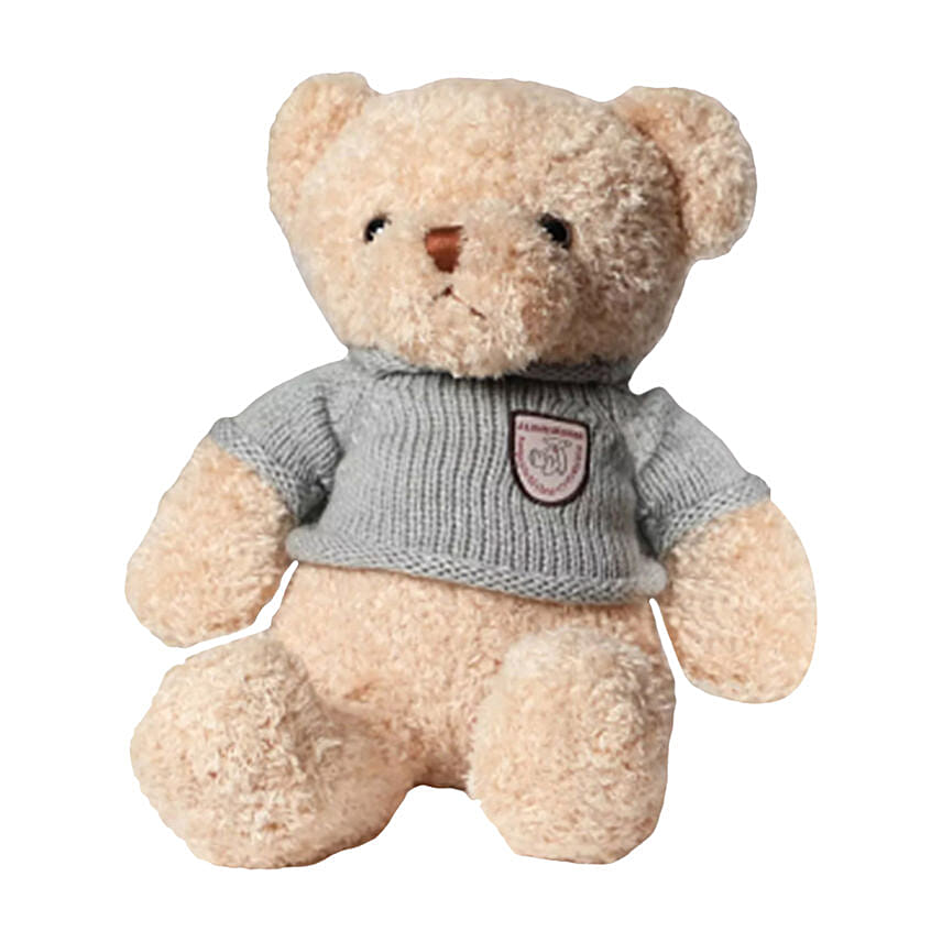 Online Red Roses Bouquet With Cake and Teddy Gift Delivery in Singapore ...