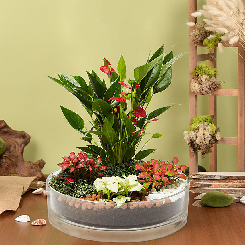 10 Fabulous Gift Ideas for Plant Lovers- Plant Platter better than Cheese Platter