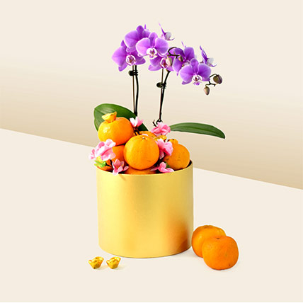 Purple Orchids With Oranges Chocolates