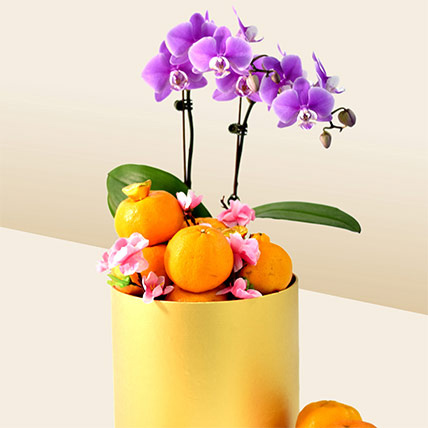 10 Meaningful Chinese New Year Gifts for Family Members- Orchids with Oranges