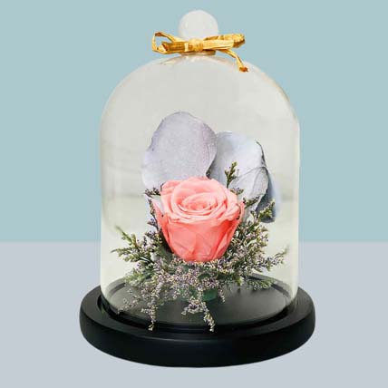 Pink Forever Rose In Glass Dome For Valentines Day