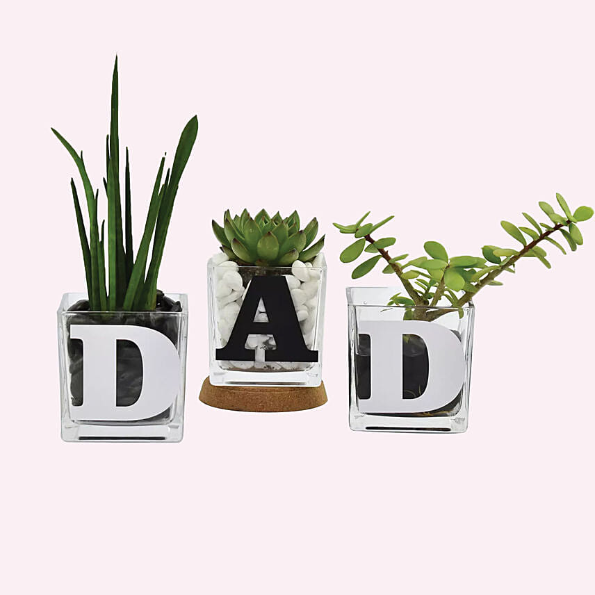 10 Fabulous Gift Ideas for Plant Lovers- Personalised Plant Love