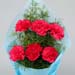 Delightful 6 Pink Carnations Bouquet