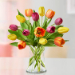 Heavenly Multi Coloured Tulips Vase