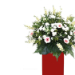 Lovely Mixed Flowers Red Stand Arrangement