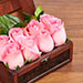 Mini Treasured Roses Pink