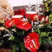 Xmas Special Center Table Flowers