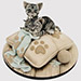 Adorable Cats Truffle Cake