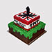 Minecraft TNT 2 Layered Vanilla Cake