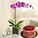 Sweet Purple Orchid Plant With Cake