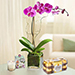 Sweet Purple Orchid Plant With Ferrero Rocher