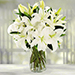 Serene Arranagement Of White Lilies
