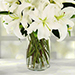 Serene Arranagement Of White Lilies With Chocolate Cake