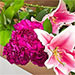 Heavenly Lilies Carnations Box
