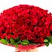 Bouquet Of 100 Roses With Mini Moet Champagne 200 Ml For Valentines