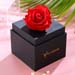 Forever Red Rose Box With I Love You Balloon For Valentines
