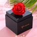 Forever Red Rose Box With Mini Mousse Cake For Valentines