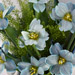 Beautiful Blue Tulips Bouquet