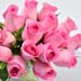 Roses And Pretty Tulips In Vase