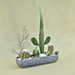 Mini Succulent Garden In Grey Vase