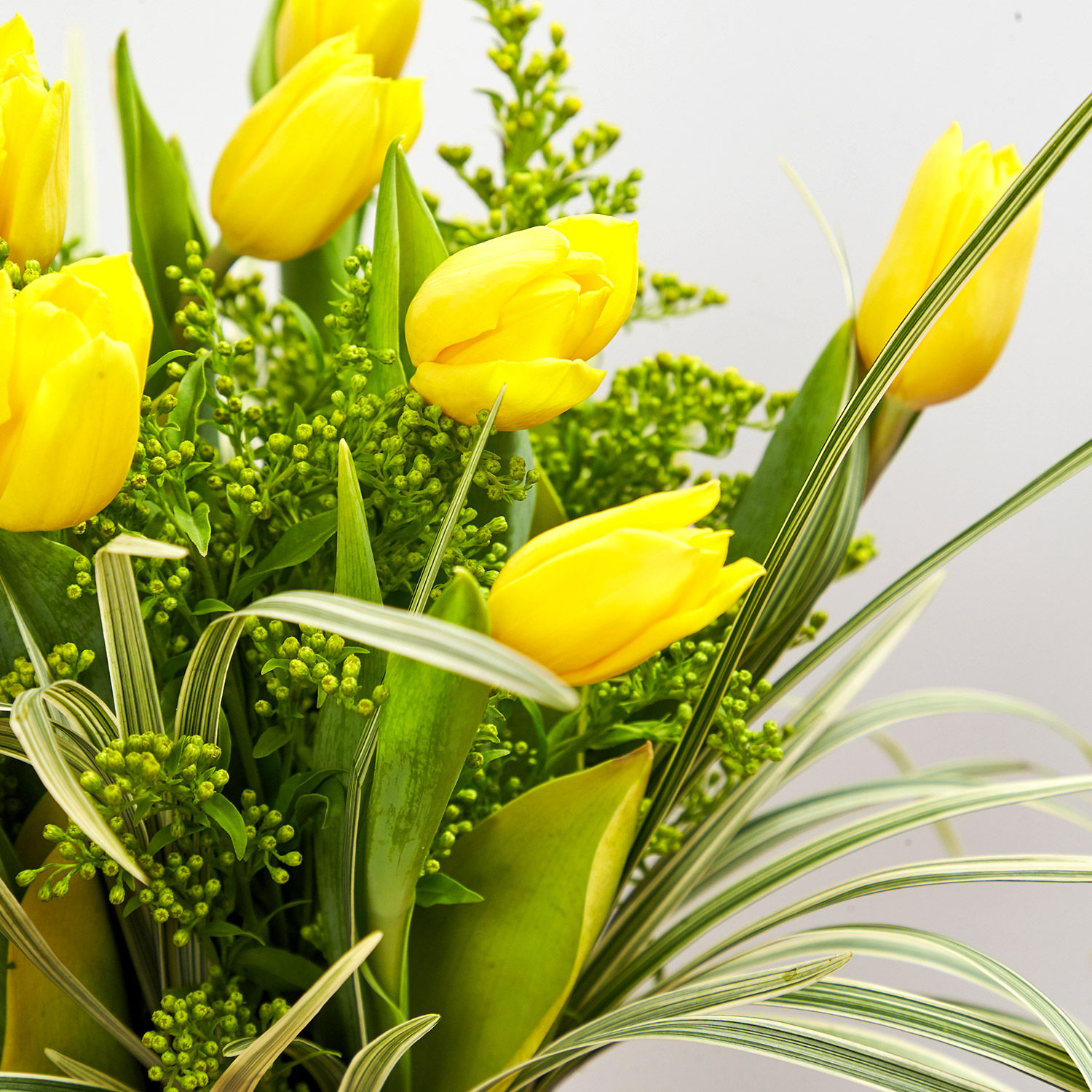 Online Bright Yellow Tulips In Maroon Vase Gift Delivery in Singapore FNP