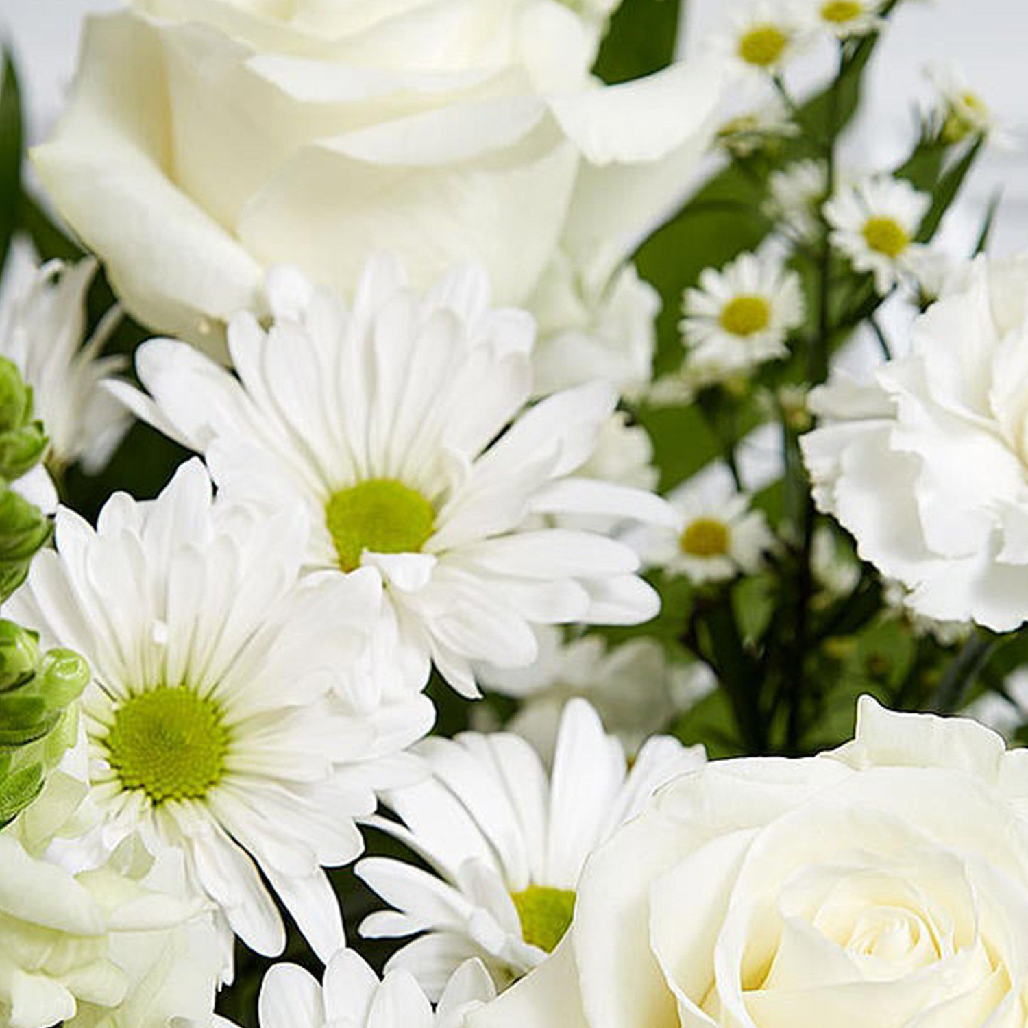 Online Luxurious White Flower Arrangement Gift Delivery in Singapore FNP