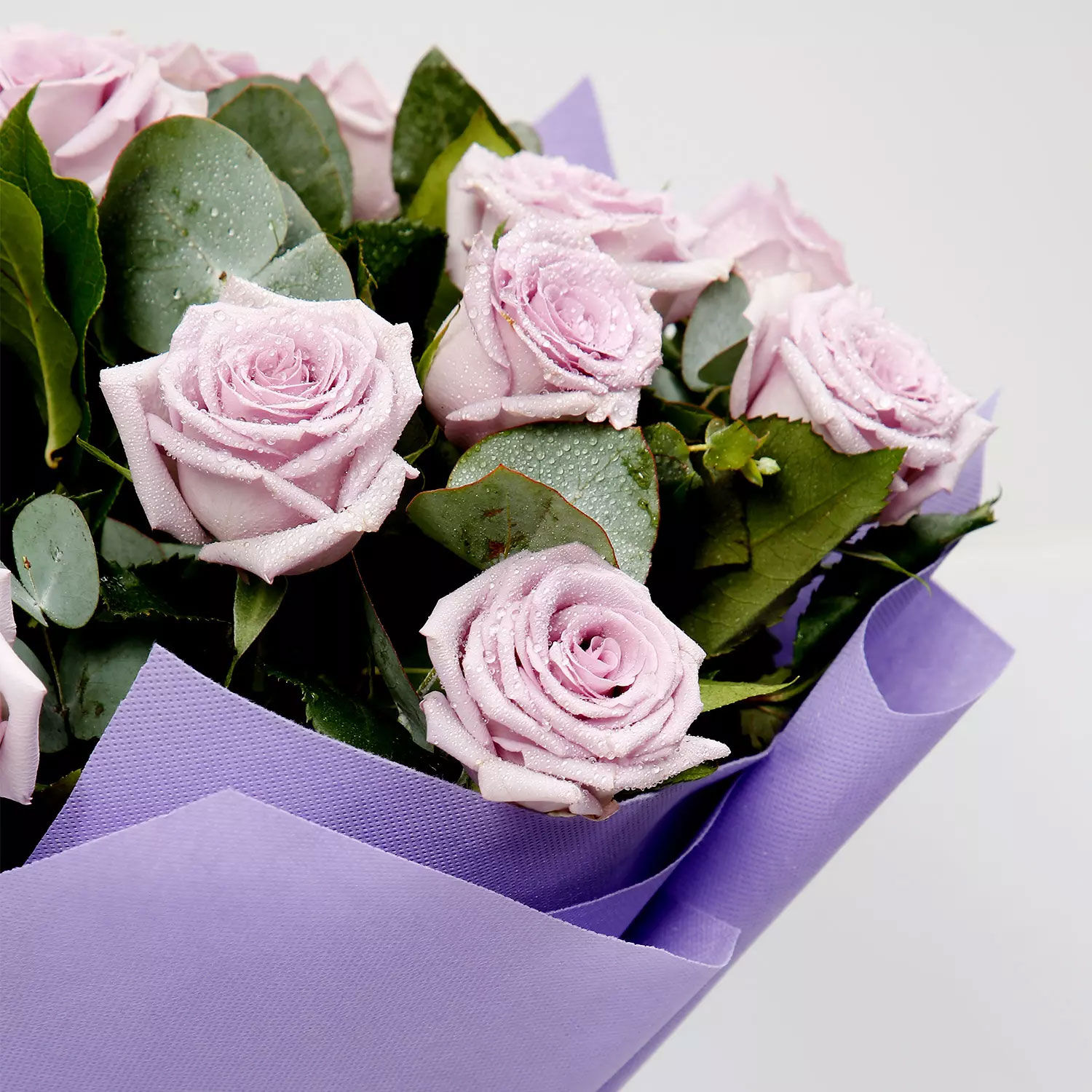 Online Bunch Of 20 Purple Roses Gift Delivery in Singapore Ferns N Petals