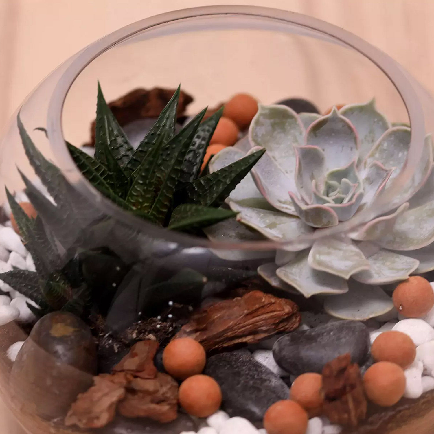 Online Decorative Succulents In Fish Bowl Gift Delivery in Singapore