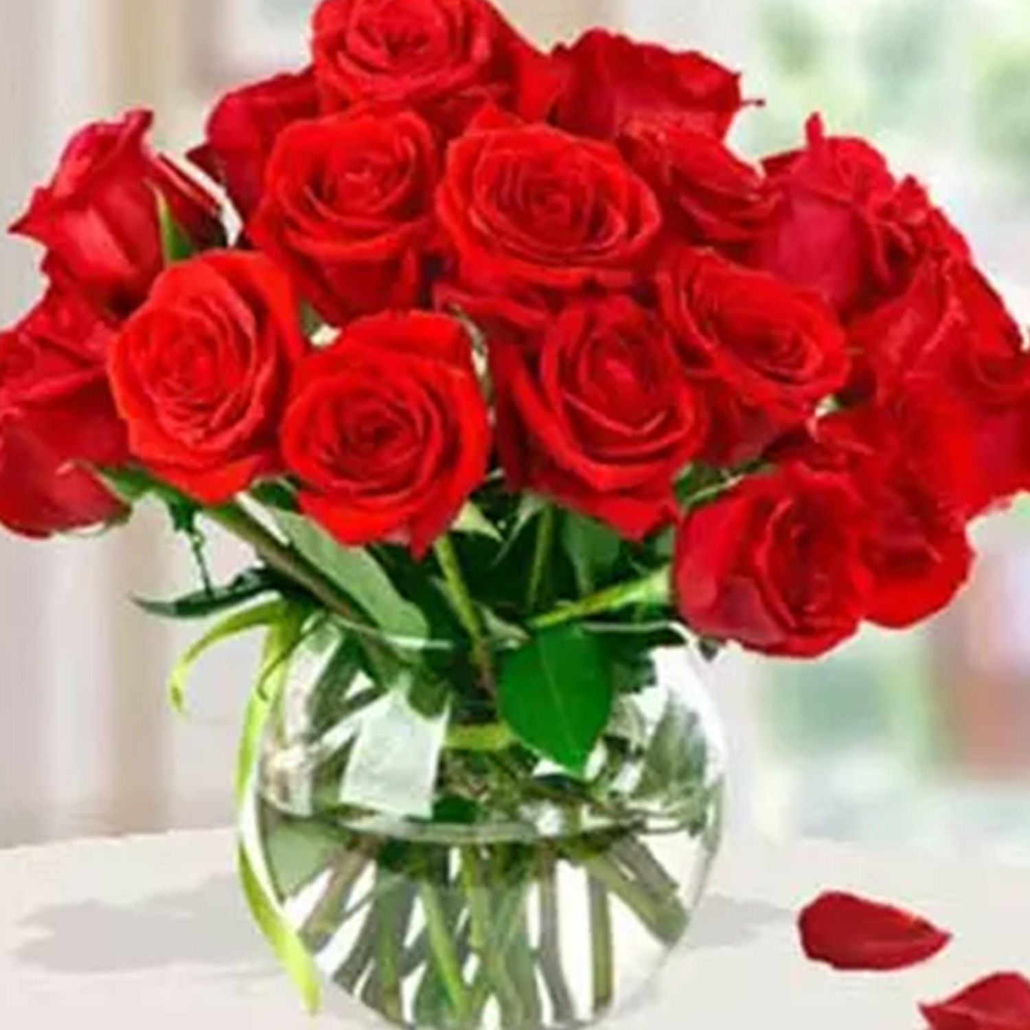 Online 15 Red Roses Arrangement Gift Delivery In Singapore FNP online-15-red-roses-arrangement-gift-delivery-in-singapore-fnp
