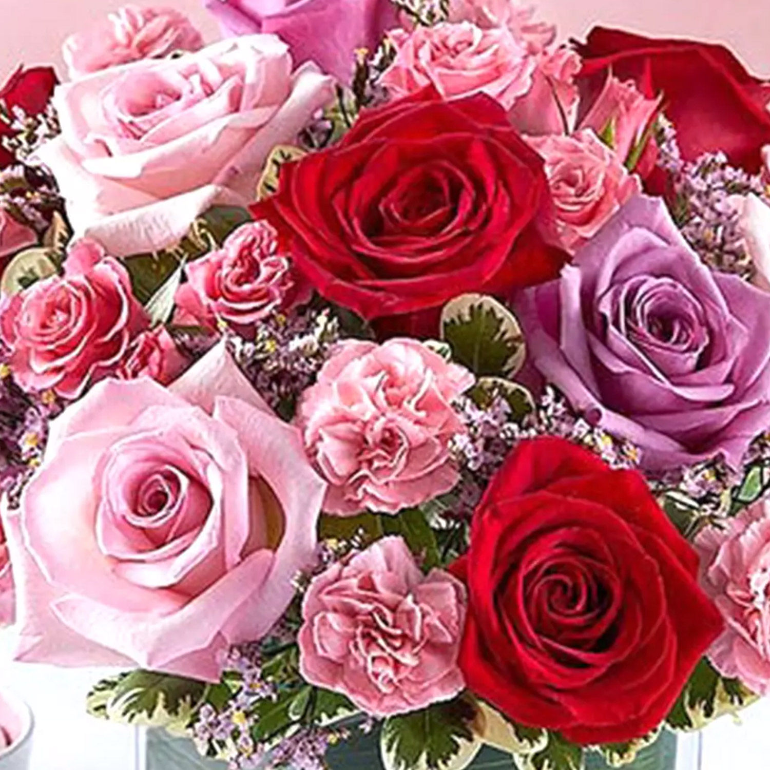 Online Bright Roses Vase Gift Delivery in Singapore Ferns N Petals